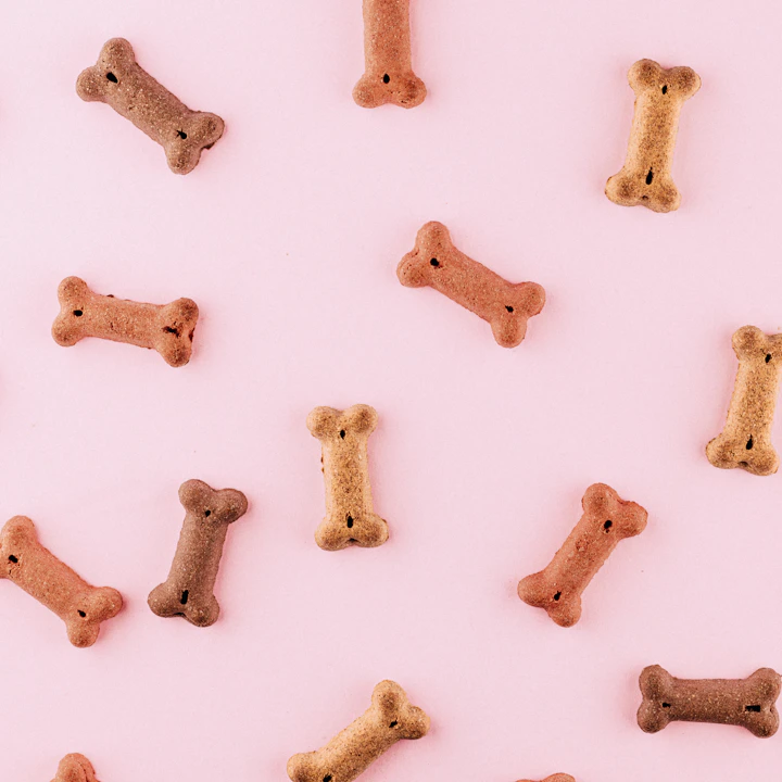 Bone-shaped baked dog biscuits on a pink background